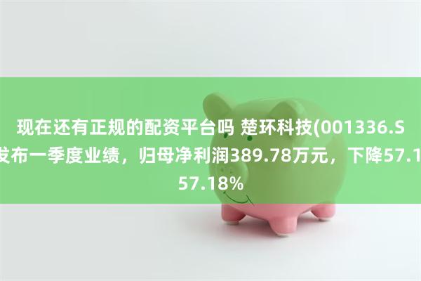 现在还有正规的配资平台吗 楚环科技(001336.SZ)发布一季度业绩，归母净利润389.78万元，下降57.18%