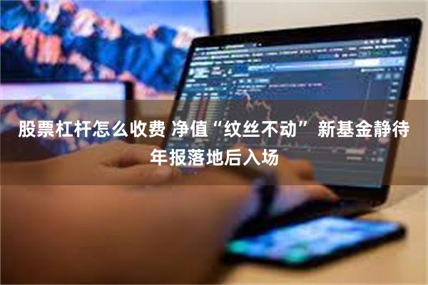 股票杠杆怎么收费 净值“纹丝不动” 新基金静待年报落地后入场
