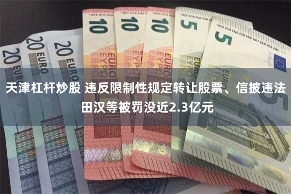 天津杠杆炒股 违反限制性规定转让股票、信披违法 田汉等被罚没近2.3亿元