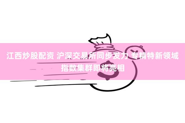 江西炒股配资 沪深交易所同步发力 专精特新领域指数集群即将亮相