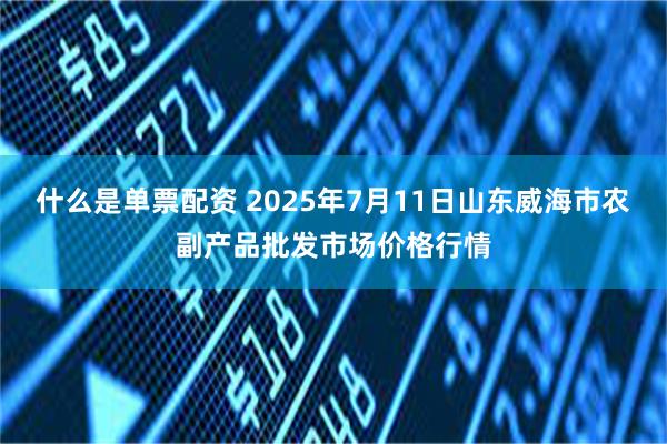 什么是单票配资 2025年7月11日山东威海市农副产品批发市场价格行情