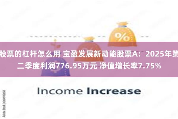 股票的杠杆怎么用 宝盈发展新动能股票A：2025年第二季度利润776.95万元 净值增长率7.75%