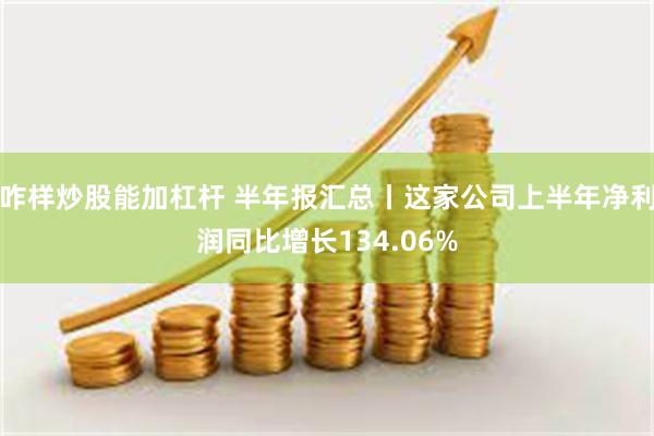 咋样炒股能加杠杆 半年报汇总丨这家公司上半年净利润同比增长134.06%