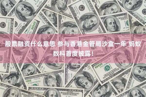 股票融资什么意思 参与香港金管局沙盒一年 蚂蚁数科首度披露！