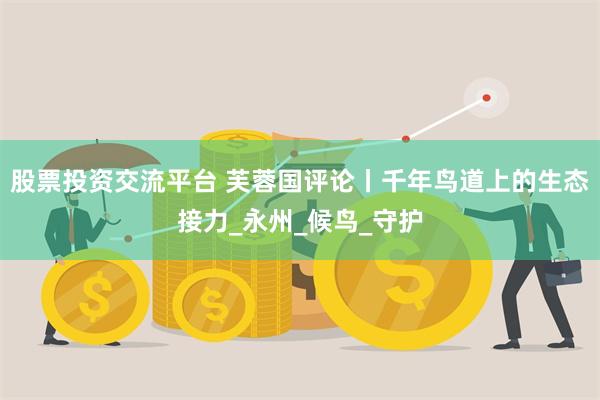 股票投资交流平台 芙蓉国评论丨千年鸟道上的生态接力_永州_候鸟_守护